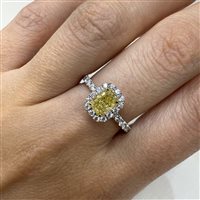 Anello Crivelli Donna in Oro bianco Diamante 0.70 Ct 327-3490-000 - 327-3490-000